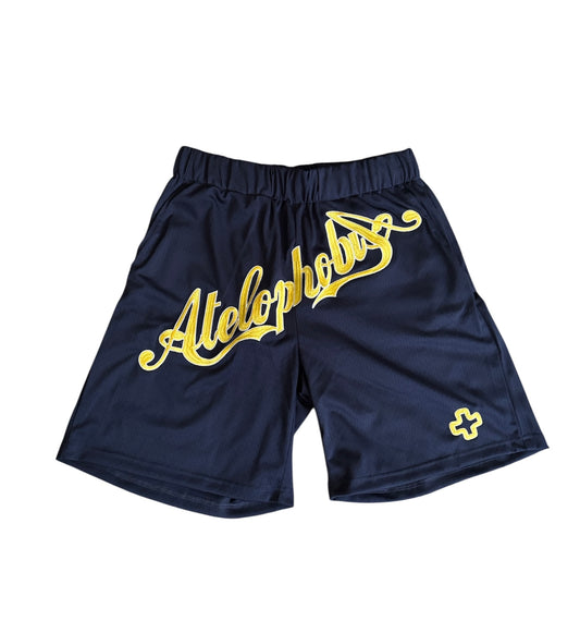 Navy mesh short